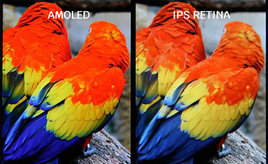 So sánh giữa màn hình AMOLED và màn hình Retina IPS.